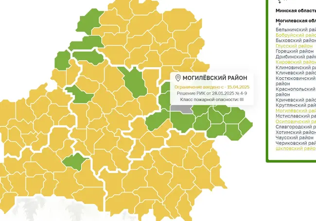 Ограничение на посещение леса введены в шести районах Могилевской области
