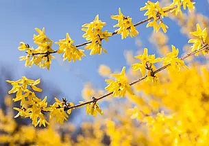 Переменная облачность и до 22 градусов тепла: какой будет сегодня погода в Могилеве