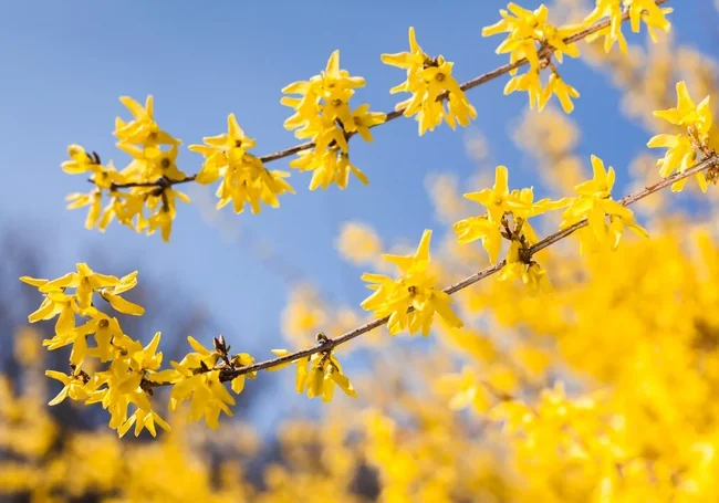 Переменная облачность и до 22 градусов тепла: какой будет сегодня погода в Могилеве