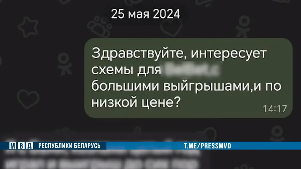9-летний житель Могилевщины обманывал людей в интернете: убеждал участвовать в онлайн-лотерее