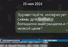 19-летний житель Могилевщины обманывал людей в интернете: убеждал участвовать в онлайн-лотерее