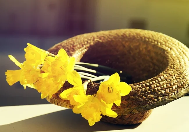 Почти лето: В Могилеве будет сухо и до 25 градусов тепла