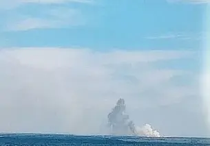 Лесной пожар перекинулся из Украины на белорусскую территорию в Лельчицком районе