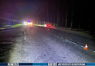 В Бобруйском районе под колесами автомобиля Volkswagen погиб 66-летний пешеход