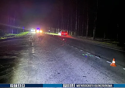 В Бобруйском районе под колесами автомобиля Volkswagen погиб 66-летний пешеход