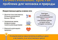 Почти 1 миллион пластиковых букетов в год на свалку: экологи призывают посещать могилы родных с живыми цветами