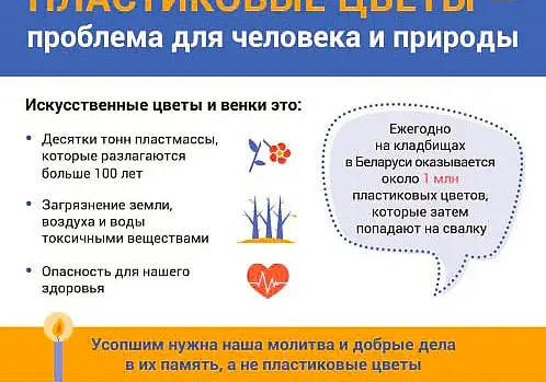 Почти 1 миллион пластиковых букетов в год на свалку: экологи призывают посещать могилы родных с живыми цветами
