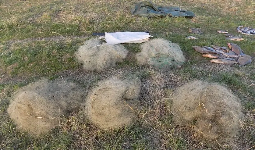 Фото: УГКСЭ по Могилевской области