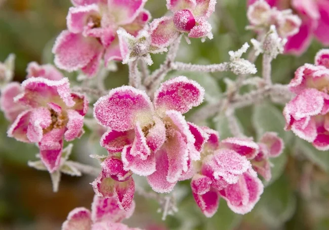 Белгидромет: к выходным в Беларуси похолодает, возможен мокрый снег