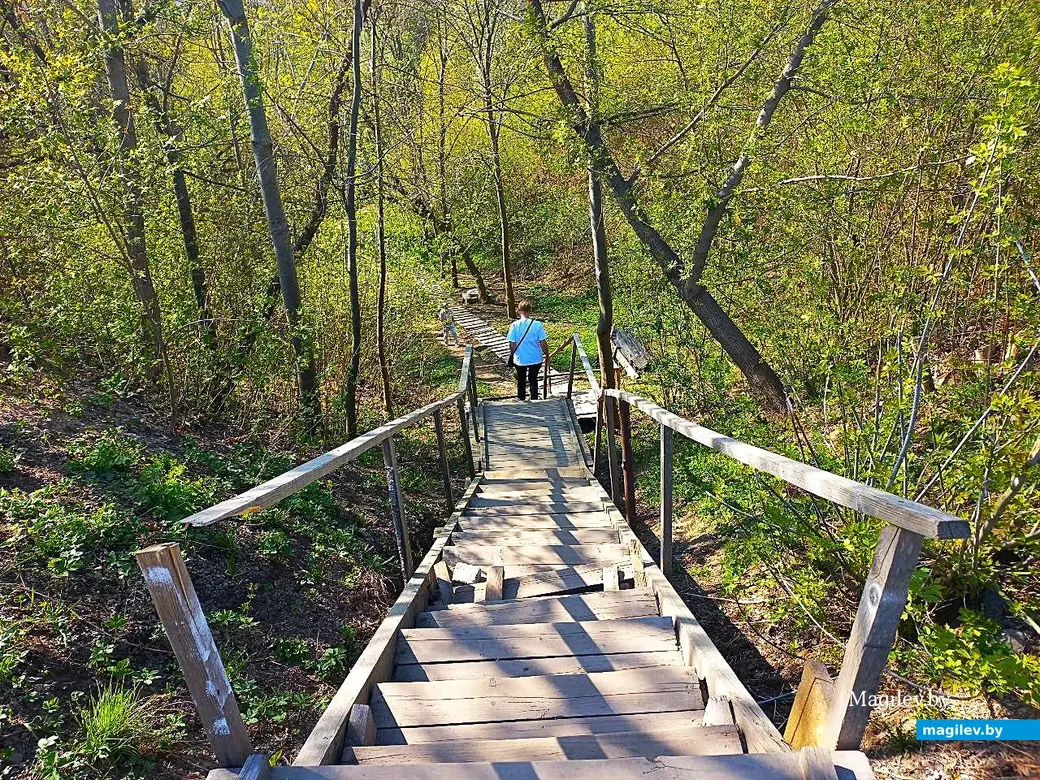 21.04.2025, Могилев. Долина речки Дебря.