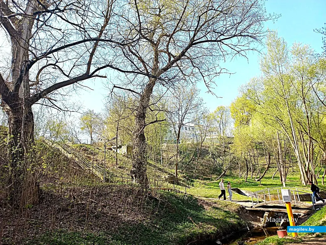 21.04.2025, Могилев. Долина речки Дебря.