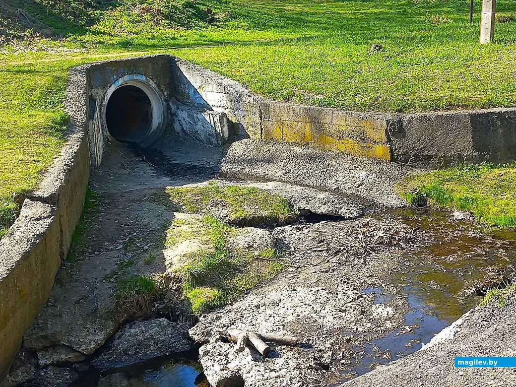 21.04.2025, Могилев. Долина речки Дебря.