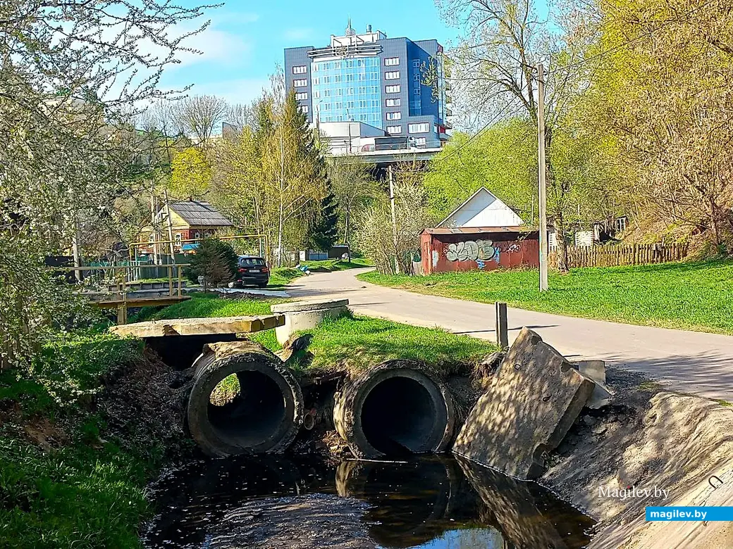 21.04.2025, Могилев. Долина речки Дебря.
