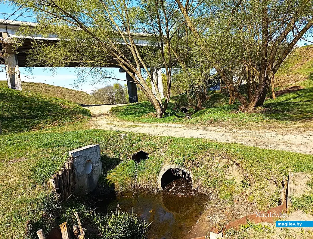 21.04.2025, Могилев. Долина речки Дебря.