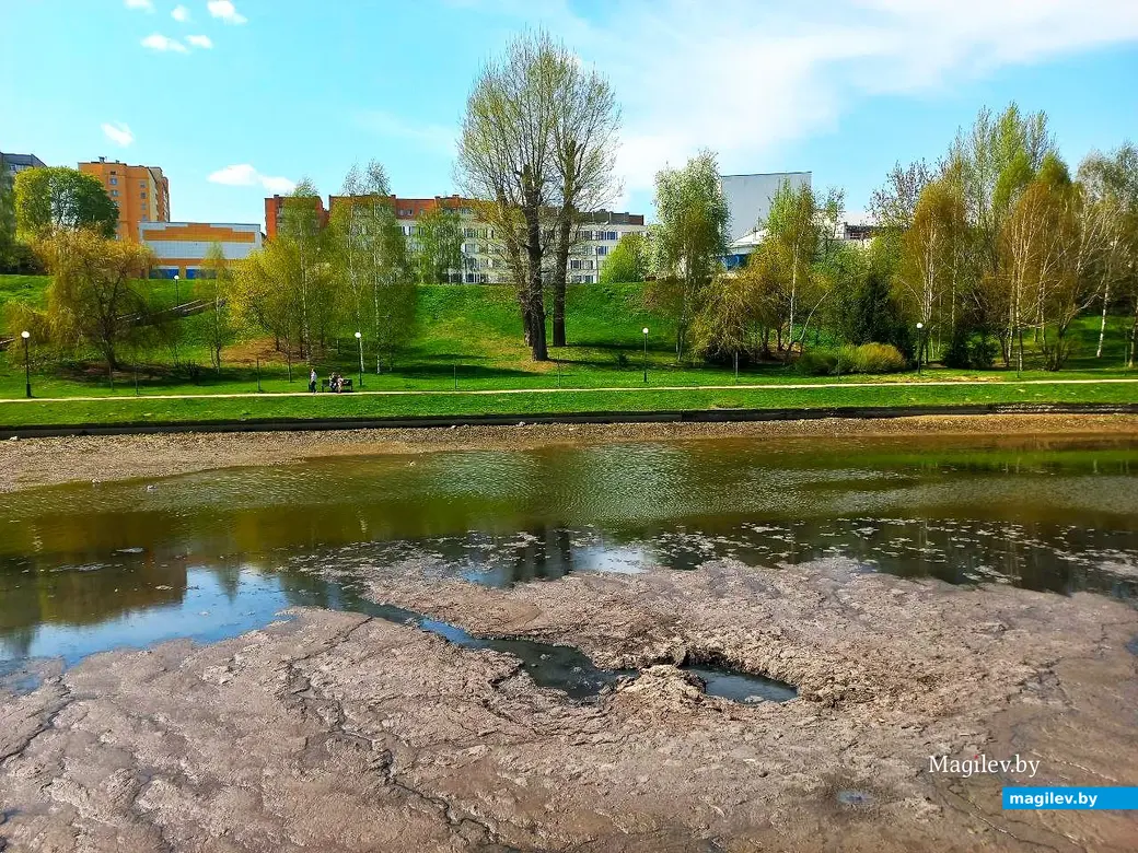 22.04.2025, Могилев, речка Дубровенка.