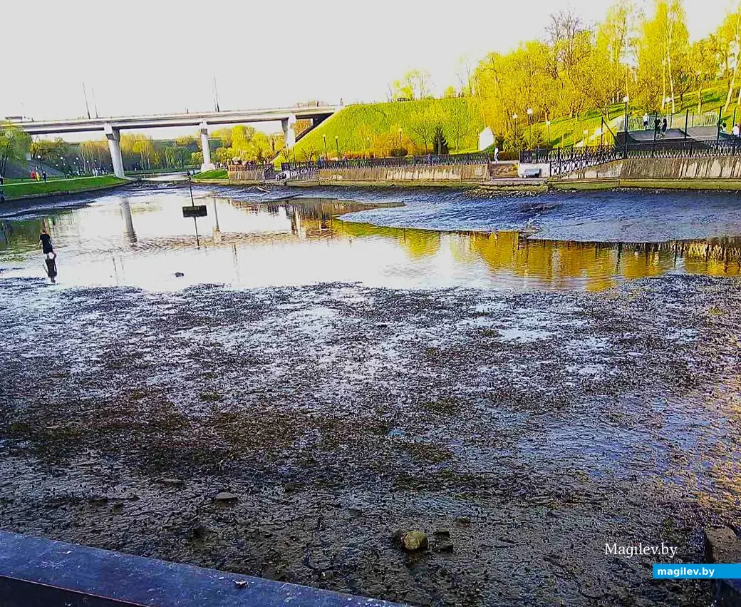 21.04.2025, Могилев, речка Дубровенка.