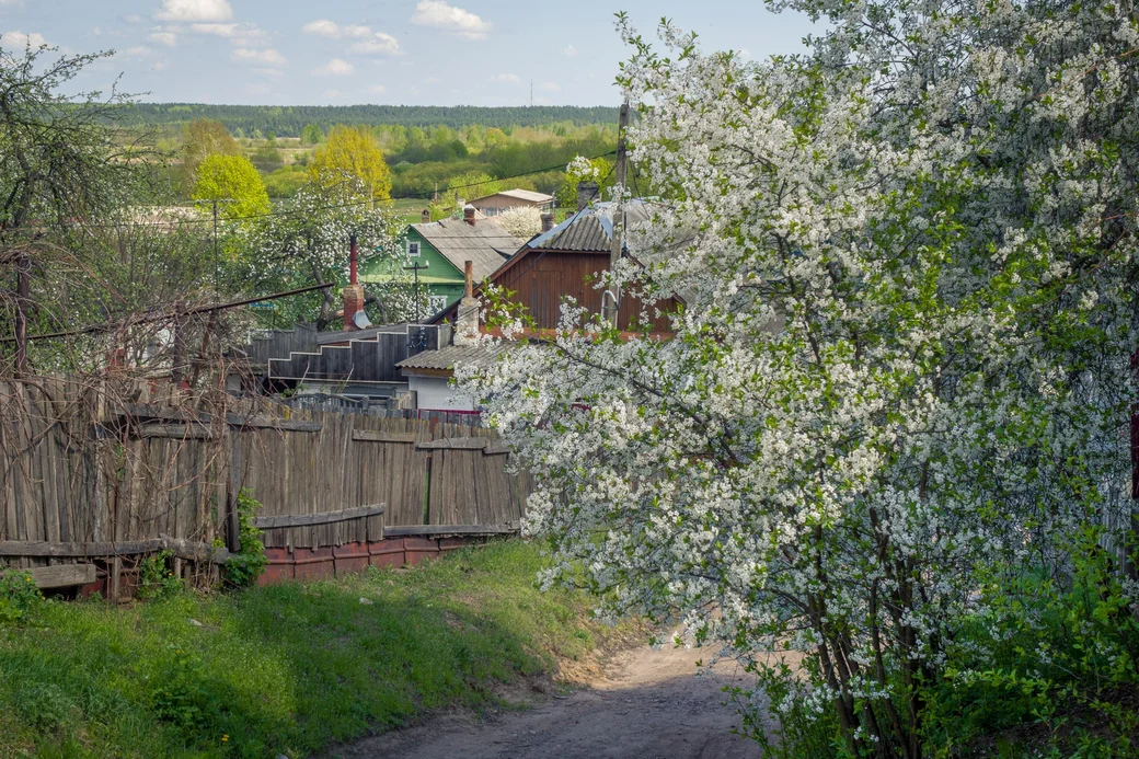 Бобруйск, Кривой Крюк. Фото: АЛЕКСАНДР ЧУГУЕВ, из архива редакции.