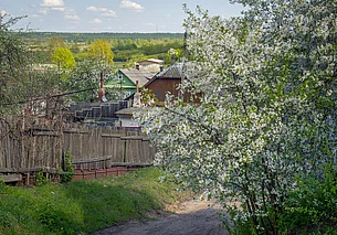 До +24°С, преимущественно без дождя: о погоде в Могилеве и области 12 мая