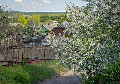 До +24°С, преимущественно без дождя: о погоде в Могилеве и области 12 мая
