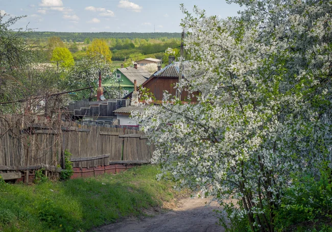 До +24°С, преимущественно без дождя: о погоде в Могилеве и области 12 мая