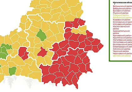 Запрет на посещение лесов введен практически по всей Могилевской области