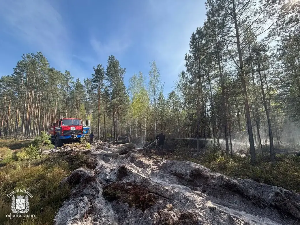 В Милошевичском лесхозе на границе с Украиной горело болото и лесные насаждения. Фото Минлесхоз