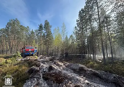 За сутки в стране ликвидировано почти 90 пожаров в экосистемах
