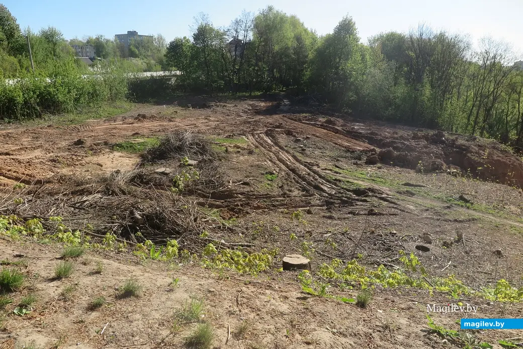 2.05.2025 г. Могилев, пр.Мира. Скоро здесь, на месте рва, развернется стройка.
