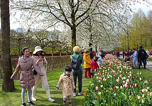 Тюльпановый рай парка Кёкенхоф в Нидерландах: фоторепортаж поездки 7-летней давности