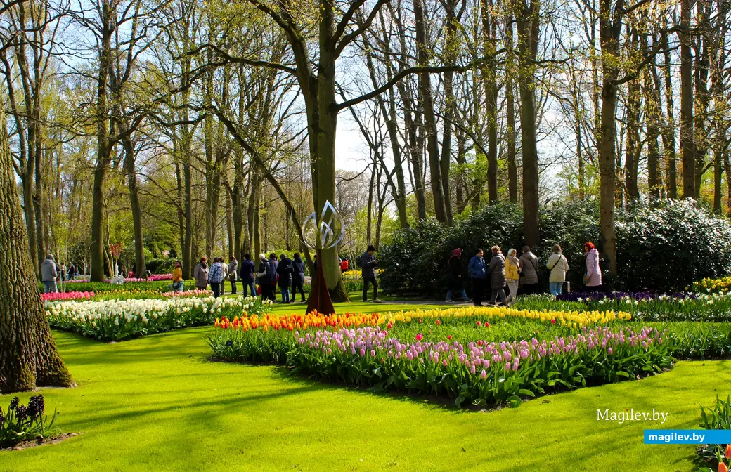 2018 год. Парк Кёкенхоф. Нидерланды.