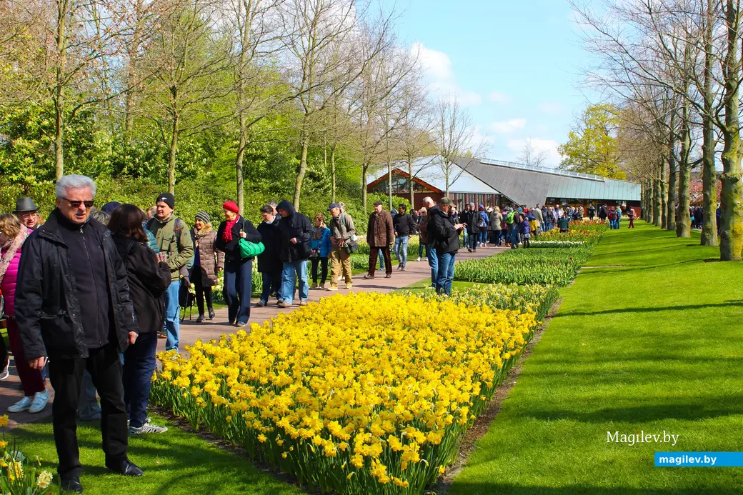 2018 год. Парк Кёкенхоф. Нидерланды.