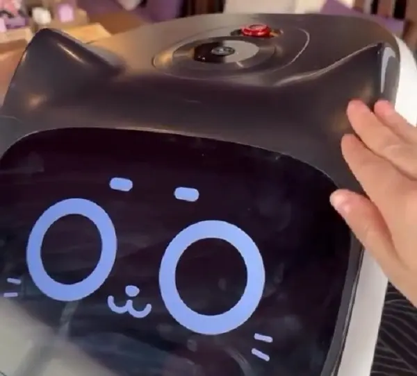 А еще Кети можно погладить! Скриншот видео.