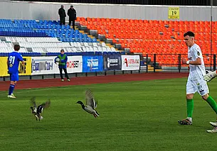 Счастливые утки могилевского «Днепра» выходят на газон