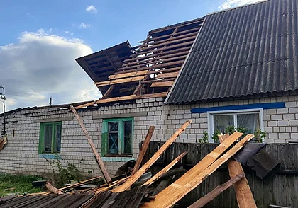 4 мая в Могилевской области бушевал ветер. О последствиях рассказали в МЧС