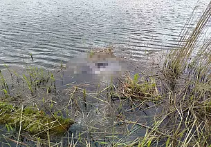 На озере в Костюковичах в нескольких метрах от берега утонул мужчина