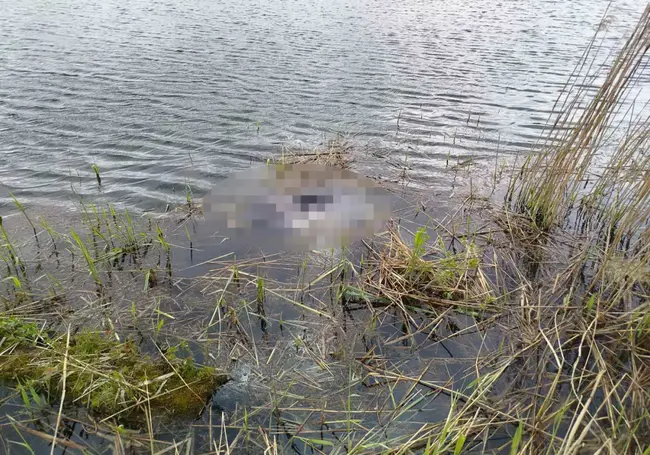 На озере в Костюковичах в нескольких метрах от берега утонул мужчина