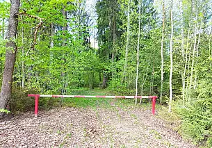Во всех районах Беларуси действуют ограничения на посещение лесов