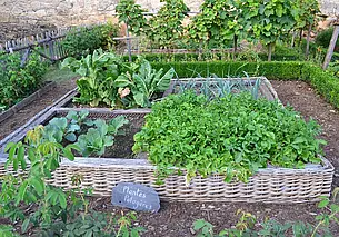 Огород без сорняков? Есть эффективные способы избавиться от них на весь сезон