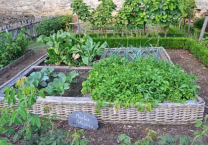 Огород без сорняков? Есть эффективные способы избавиться от них на весь сезон