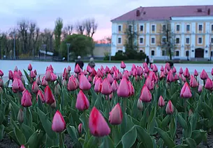 Могилевоблгидромет предупреждает об угрозе заморозков с 6 на 7 мая: до -4°С