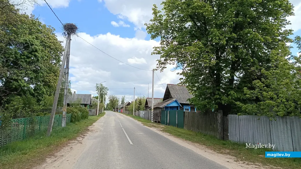 9 мая 2025 года. Деревня Балашевичи, Глусский район.