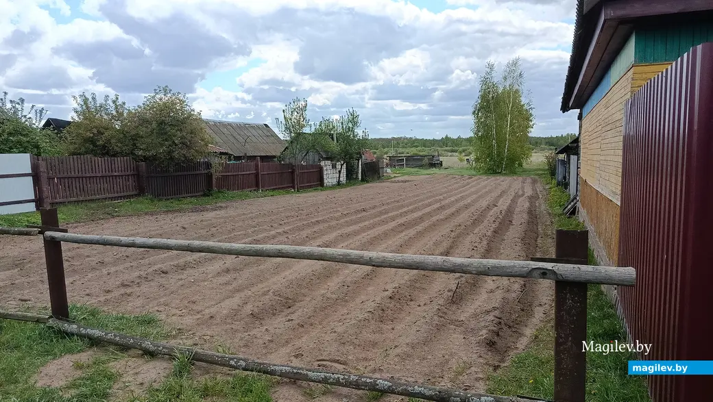 9 мая 2025 года. Деревня Балашевичи, Глусский район.