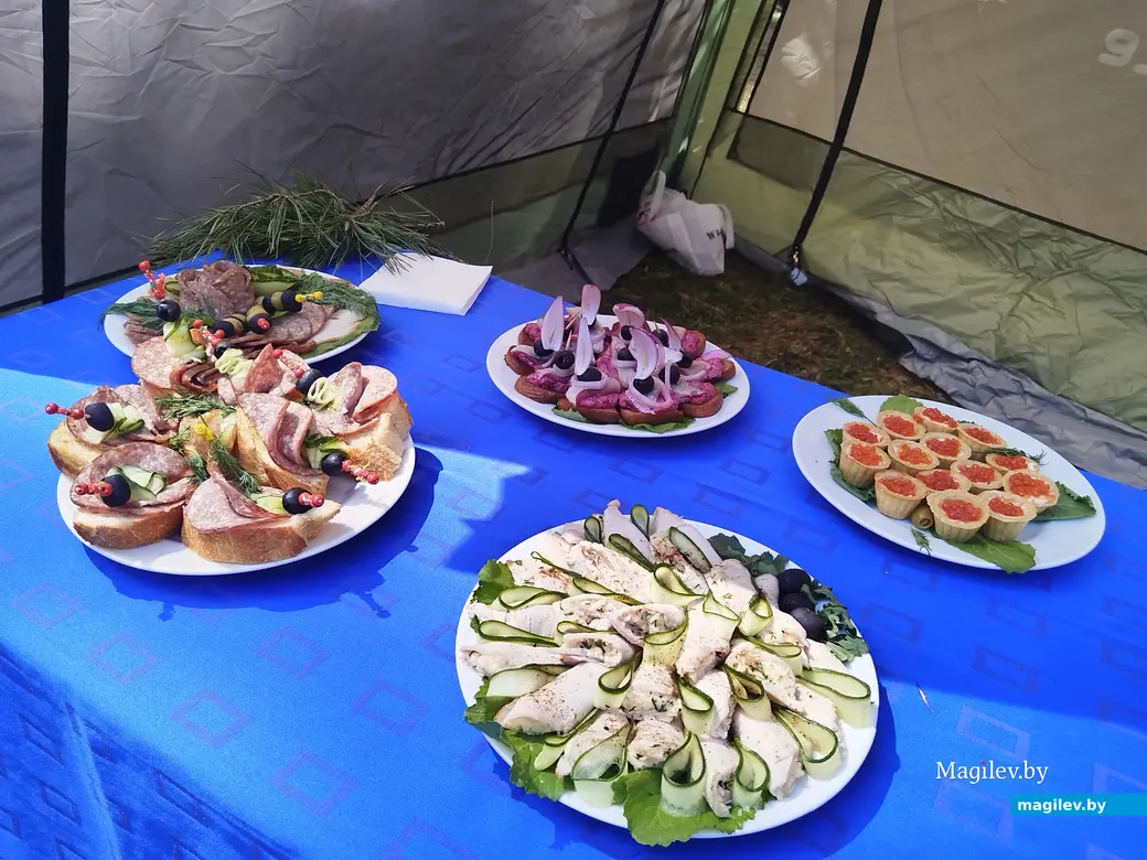 09.05.2025 г. Могилев. Печерский лесопарк. Могилевский пикник. Солдатская поляна.