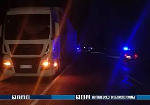 Смертельное ДТП на трассе Могилев-Бобруйск: грузовик сбил пешехода