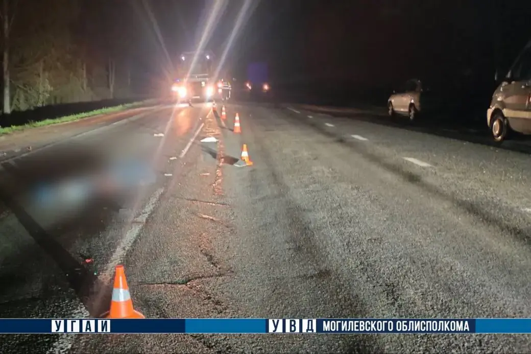 10 мая 2025 года. На 19 километре автодороги Р-93 Могилев-Бобруйск грузовик сбил пешехода. Фото: ГАИ.