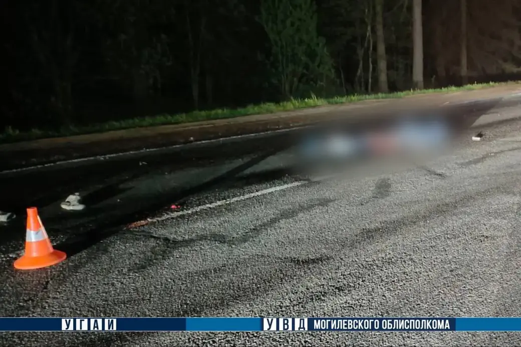 10 мая 2025 года. На 19 километре автодороги Р-93 Могилев-Бобруйск грузовик сбил пешехода. Фото: ГАИ.