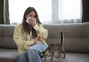 Создана вакцина от аллергии на кошек: ее готовят к клиническим испытаниям