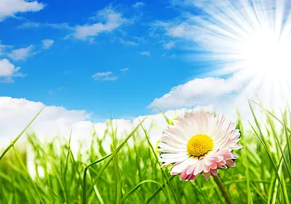 Облачно с прояснениями и до +18°С: какую погоду ждать в Могилеве 19 мая