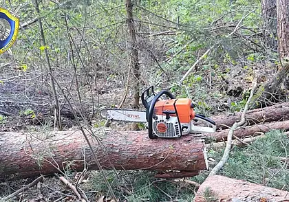 Погиб работник в Краснопольском районе при валке леса