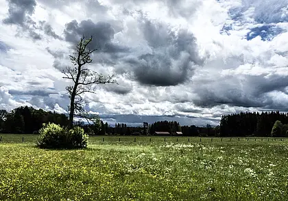 Опять дожди и до +12°Ϲ: прогноз погоды по Могилеву на 16 мая